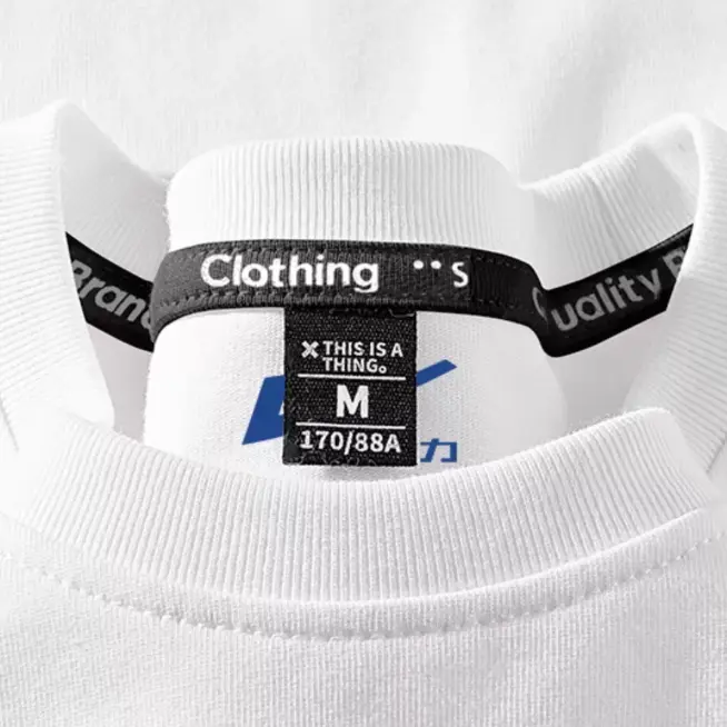 Snipaste 2026 02 03 15 55